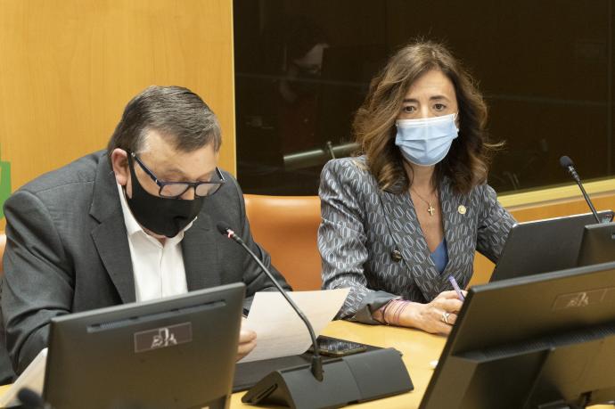 Olatz Garamendi, junto al viceconsejero de Régimen Jurídico, Sabino Torre, en el Parlamento vasco.