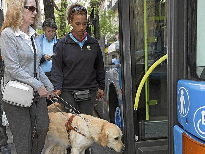 Lerro hauekin dagoen irudian, emakume bat autobusean sartzen, bere txakur gidarekin. Argazkia: Utzita