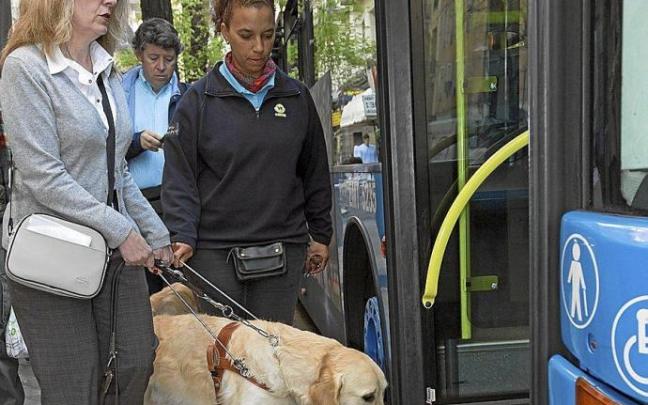 Lerro hauekin dagoen irudian, emakume bat autobusean sartzen, bere txakur gidarekin. Argazkia: Utzita