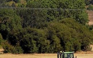 Un tractor en Mendoza. Foto: J.M.