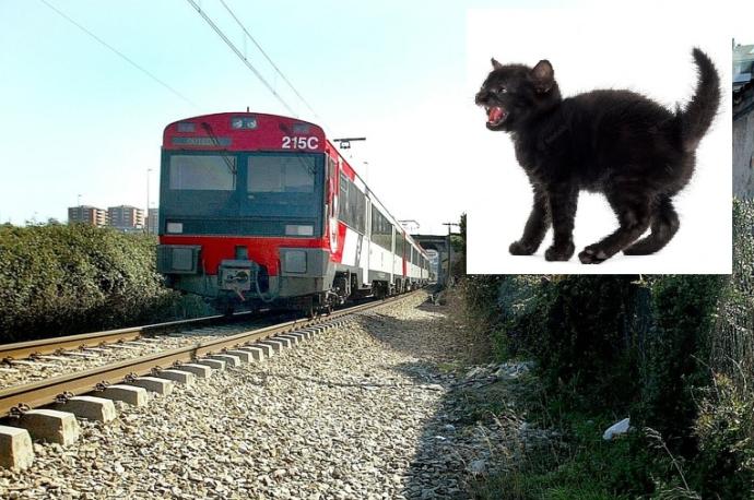 Un tren en Asturias y un gato negro.