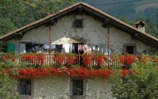 Los geranios adornan y engalanan tradicionalmente los balcones de los caseríos.