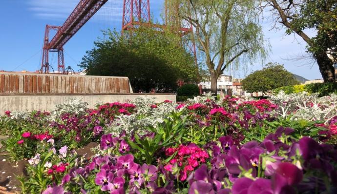 Una zona de flores en la plaza del Puente Colgante.