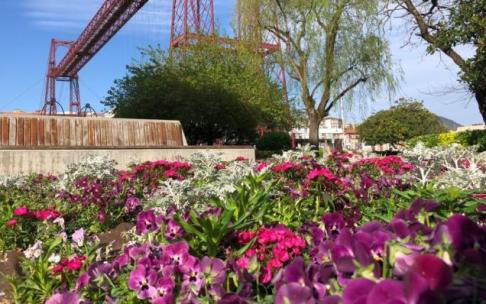 Una zona de flores en la plaza del Puente Colgante. Una zona de flores en la plaza del Puente Colgante.
