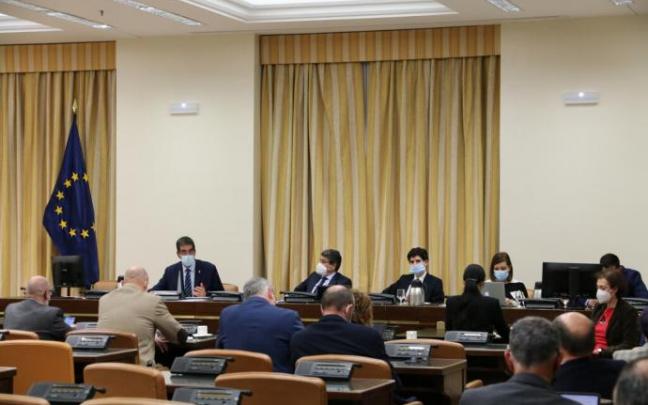 Goia, en su intervención en la comisión de Seguridad Vial del Congreso de los Diputados.