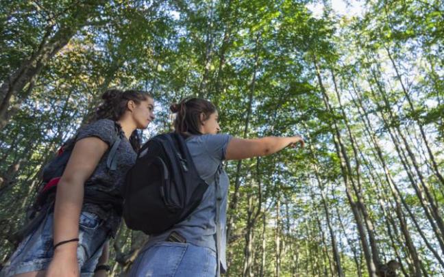 Imagen de archivo de Gorbeia.