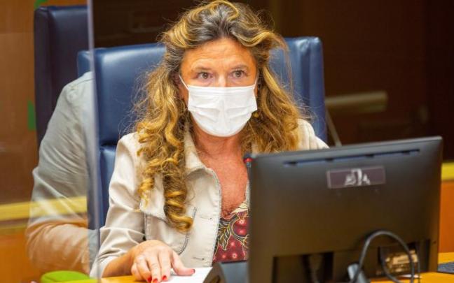 La consejera de Salud, Gotzone Sagardui.