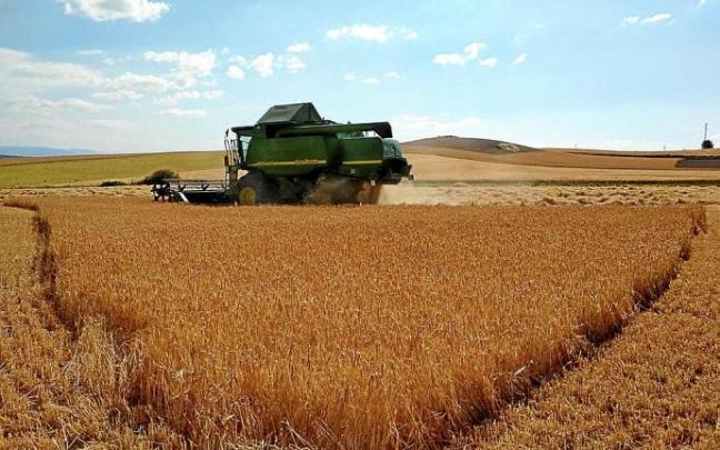 Una cosechadora se emplea en la recogida de cereales en una campaña que ha sido muy buena en los campos alaveses. Foto: C. Arizaleta