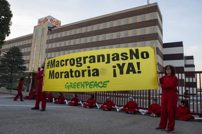 Activistas de Greenpeace en la entrada de la sede de El Pozo.