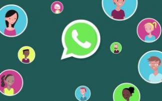 Logo del servicio de mensajería WhatsApp Logo del servicio de mensajería WhatsApp