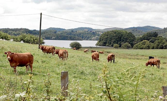 La guerra en Ucrania deriva en una crisis "inédita" para el campo alavés