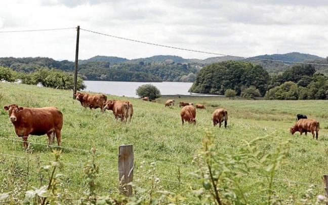 La guerra en Ucrania deriva en una crisis "inédita" para el campo alavés
