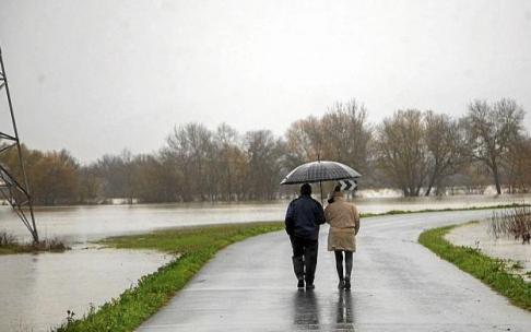 "Llevo aquí viviendo más de 40 años años y tanto como esto no he visto nunca. Está fatal"Victoriano De JuanaVecino de Lakua
