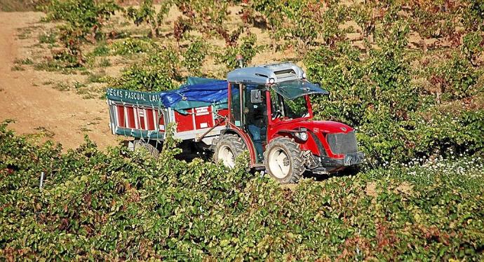 Un tractor en un viñedo de Rioja Alavesa. Foto: Pablo José Pérez