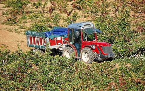 Un tractor en un viñedo de Rioja Alavesa. Foto: Pablo José Pérez Un tractor en un viñedo de Rioja Alavesa. Foto: Pablo José Pérez