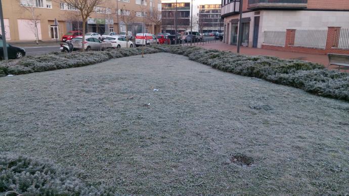 Un jardín de Zabalgana, a primera hora de esta mañana