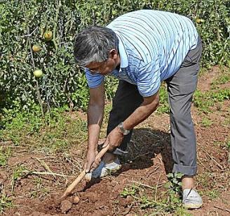 Un agricultor en plena faena.