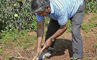Un agricultor en plena faena. Un agricultor en plena faena.