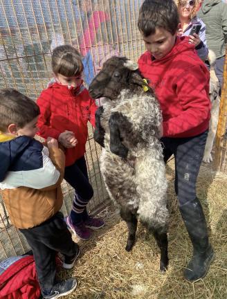 Iñigo, Adriana y Diego, con los corderos y las ovejas.