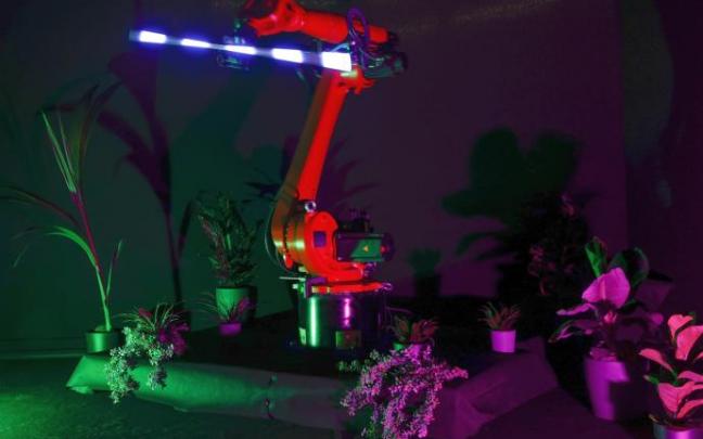 El Holobot Social Garden. El Holobot Social Garden.