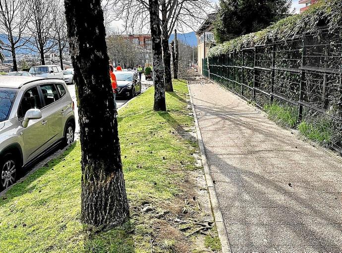 Los trabajos comenzaron la semana pasada en Donostia kalea con la retirada del arbolado. Foto: N.G.