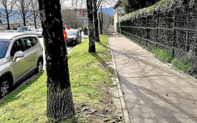 Los trabajos comenzaron la semana pasada en Donostia kalea con la retirada del arbolado. Foto: N.G.