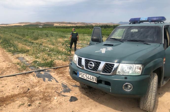 Investigan a un alavés por robar hortalizas valoradas en más de 1.600 euros