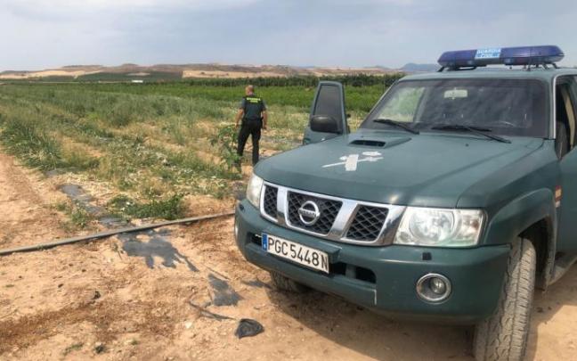 Investigan a un alavés por robar hortalizas valoradas en más de 1.600 euros