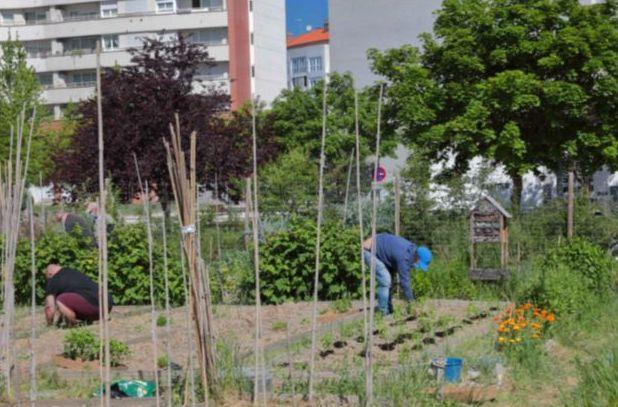 Dos personas trabajan en el huerto de Borinbizkarra