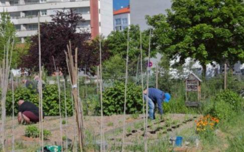 Dos personas trabajan en el huerto de Borinbizkarra