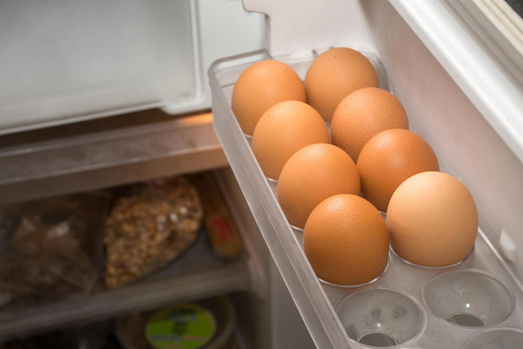 Los huevos se deben guardar fuera o dentro de la nevera y por qué en cada  país es diferente? – Enséñame de Ciencia