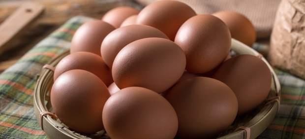Huevos a temperatura ambiente, causa de la intoxicación.