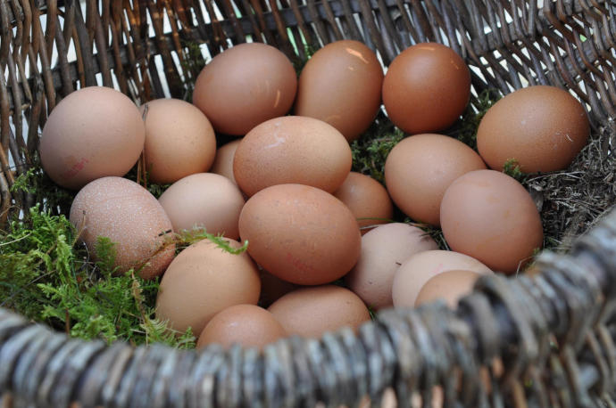 Aunque los huevos hay que guardarlos en la nevera, en los comercios se mantiene a temperatura ambiente para que nos sufran cambios bruscos de temperatura.