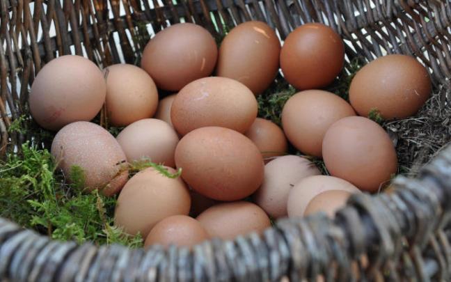 Aunque los huevos hay que guardarlos en la nevera, en los comercios se mantiene a temperatura ambiente para que nos sufran cambios bruscos de temperatura. Aunque los huevos hay que guardarlos en la nevera, en los comercios se mantiene a temperatura ambiente para que nos sufran cambios bruscos de temperatura.