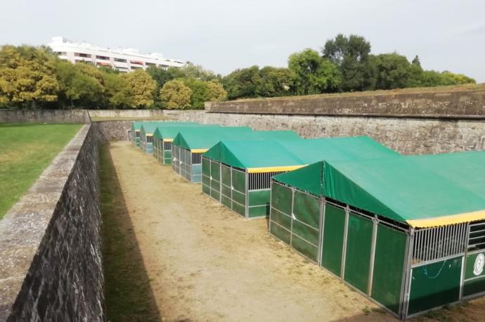 Los boxes de los caballos, sin retirar esta mañana de los fosos.