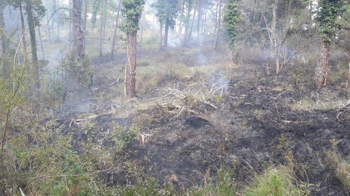 Incendio forestal.