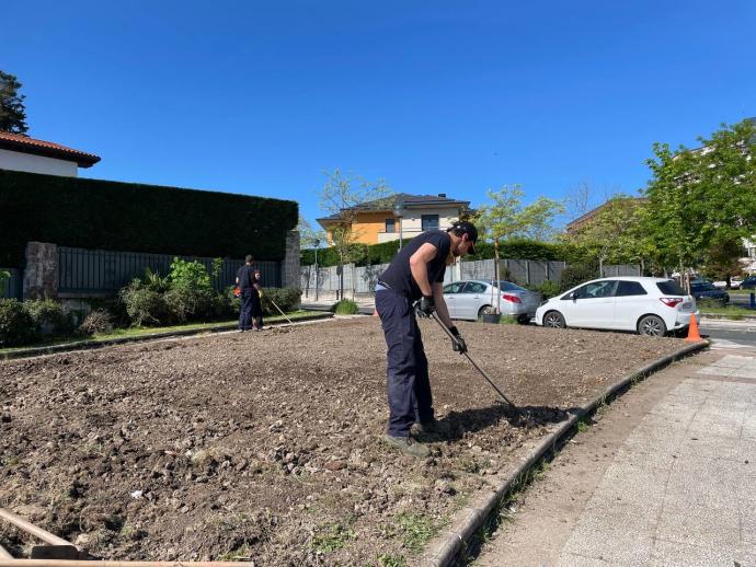 Inicio de los trabajos para plantar vides y rosales en el parterre de Portal de Castilla con Rosalía de Castro.