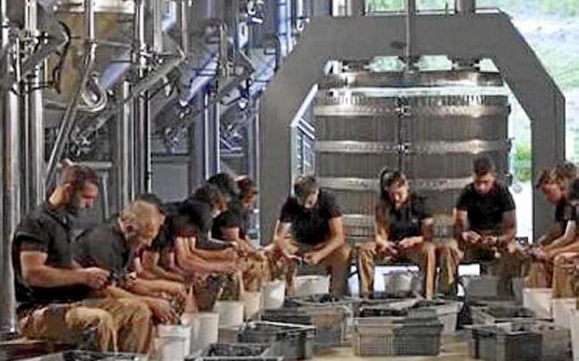 Trabajo en el interior de una bodega.