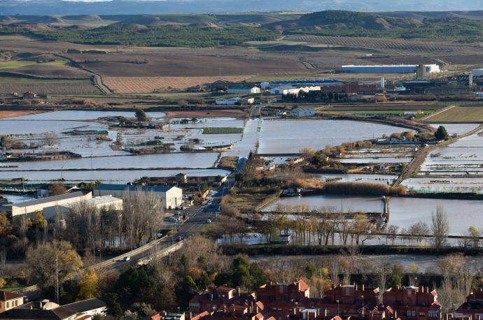 Zona del regadío, totalmente anegada por el agua tras desbordarse el río Arga en Falces.