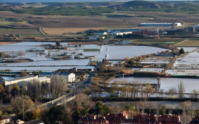 Zona del regadío, totalmente anegada por el agua tras desbordarse el río Arga en Falces.
