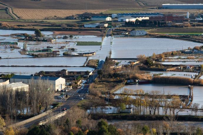 Zona del regadío en Falces totalmente anegada por el agua tras desbordarse el río Arga.