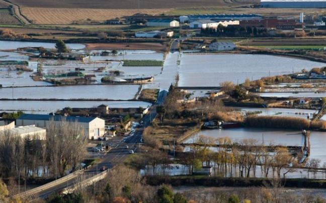 Zona del regadío en Falces totalmente anegada por el agua tras desbordarse el río Arga.