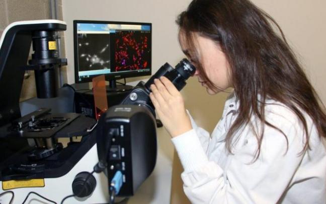 El fármaco de Quimatryx actúa solo sobre las células cancerosas.