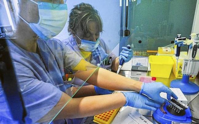 Dos profesionales analizan pruebas PCR. Foto: José Mari Martínez