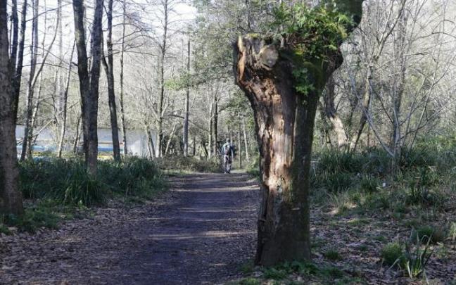 Camino junto al Urumea sobre el que se creará un bidegorri y senda peatonal.