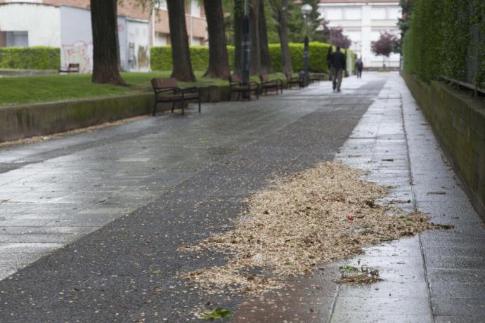 Zona ubicada detrás de Mercedarias, en Zaramaga.