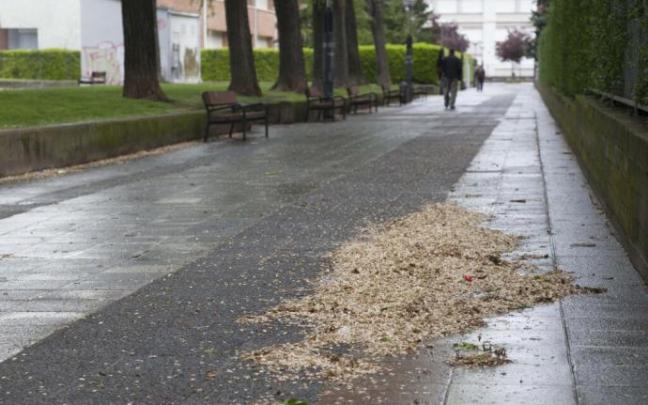 Zona ubicada detrás de Mercedarias, en Zaramaga.