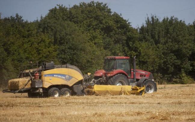 Recogida de la cosecha en Asteguieta