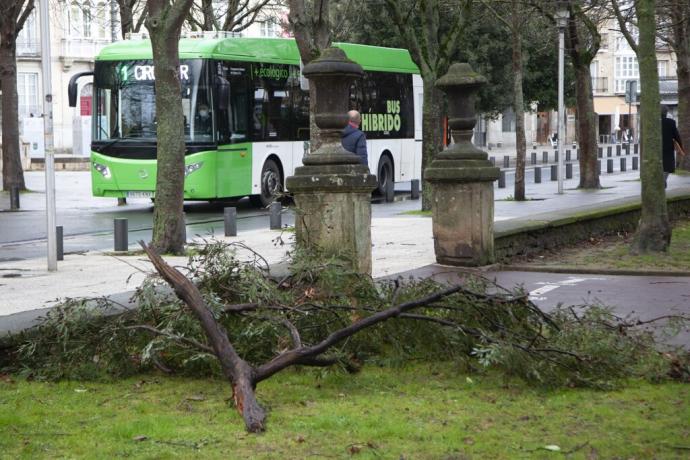 Cintas policiales para evitar los efectos del viento en un parque de Vitoria.