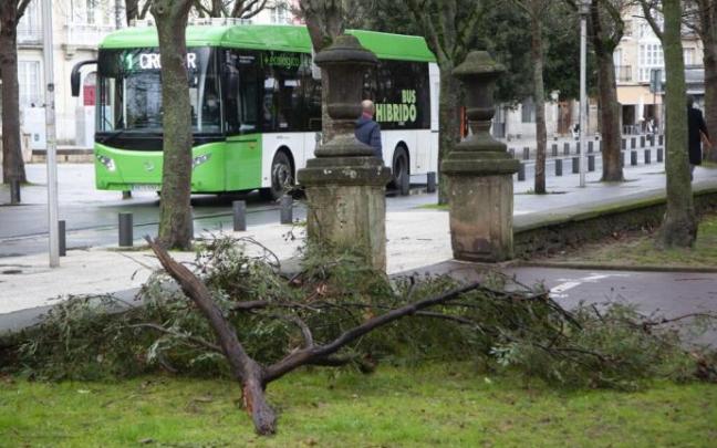 Cintas policiales para evitar los efectos del viento en un parque de Vitoria.